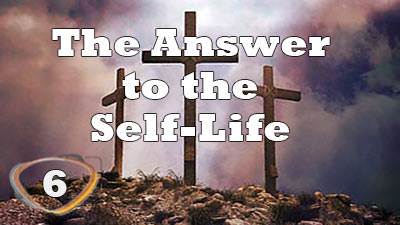 The Answer to the Self-Life
