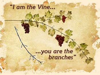 "I am the Vine, you are the branches."