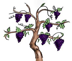 As we look at the vine and its branches, we see that they are one