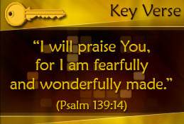 Key Verse: Psalm 139:14