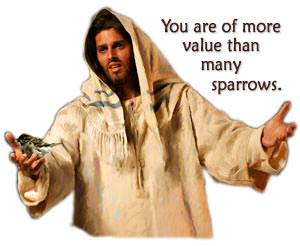 you are of more value than many sparrows