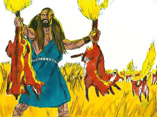 Samson sets the Philistine crops and olive orchards ablaze