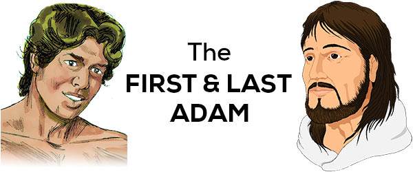 the first and last Adam