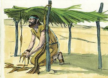 the vine which God has provided to shelter Jonah from the burning rays of the sun is attacked by a worm and thus dies (graphic provided by http://sweetpublishing.com)
