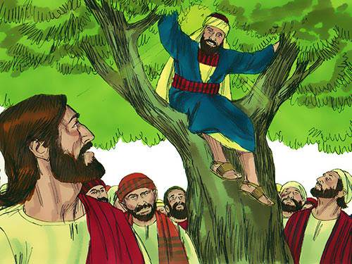 Zacchaeus Sees Jesus