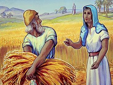 Ruth went to one of the fields and asked the head man to let her follow the workers to pick up the barley.
