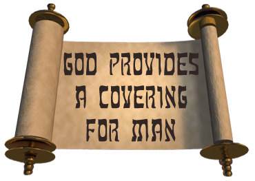 God provides a covering for man