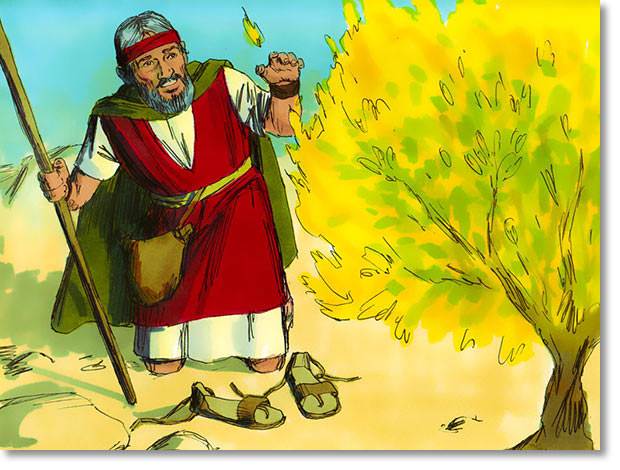 God appeared to Moses in a burning bush