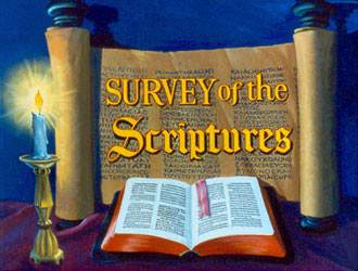 Survey of the Scriptures - an overview of all the books in the Bible