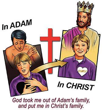 God took me out of Adam's family and put me in Christ's family (illustration by Stephen Bates)