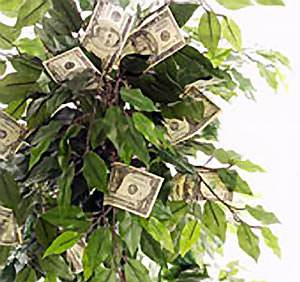 money doesn't grow on trees