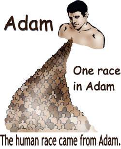 The human race came from Adam, God's first man