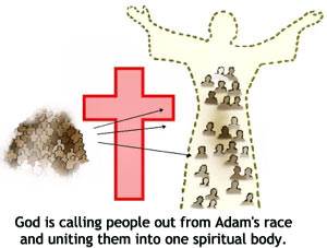 God is calling people out from Adam's race and uniting them into one spiritual Body