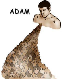 Adam is called God's first man because he was the first man, the head of the human race