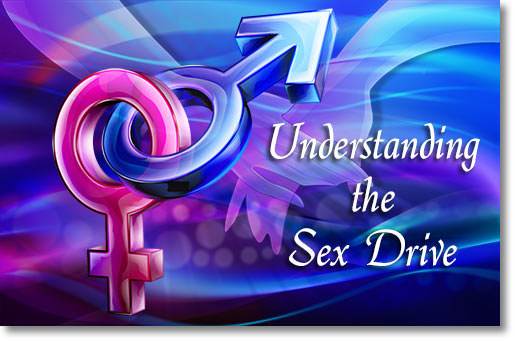 Understanding the Sex Drive