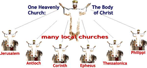 The local church is the Body of Christ in a local area.