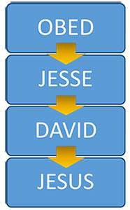 genealogy: Obed, Jesse, David, Jesus