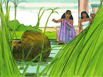 placed by his mother in an ark of bulrushes