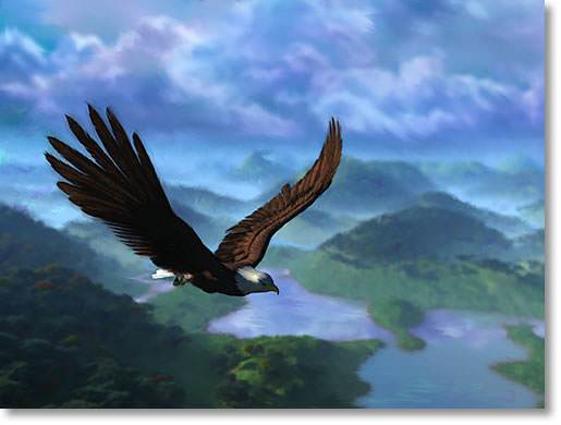 like the eagle you will soar over all difficulties and problems