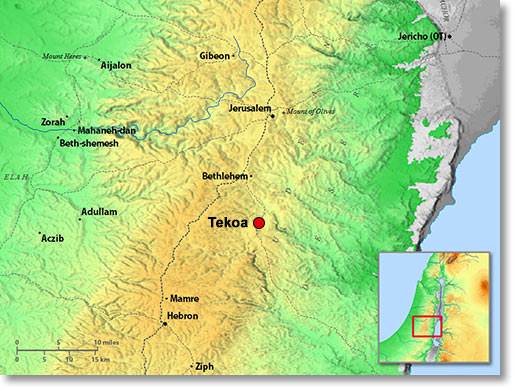 Amos was a native of Tekoa, a small town south of Jerusalem
