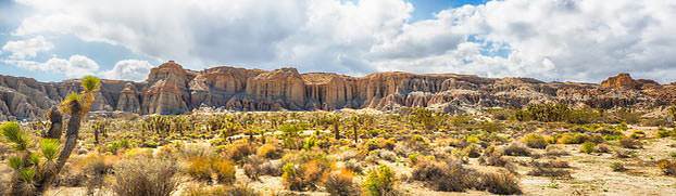 ...whose hearts have turned away from the Lord. They will be like a shrub in the desert