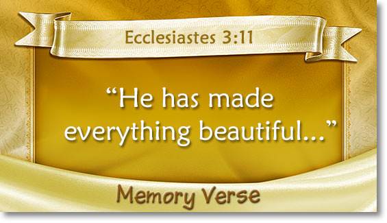 memory verse: Ecclesiastes 3:11