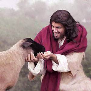 The good shepherd lived with his sheep out in the fields.