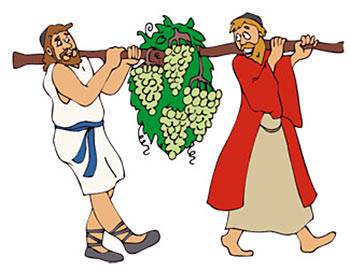 They cut off one very large bunch of grapes and put it across a stick and two men carried it