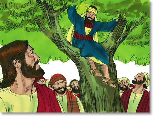 In the House of Zacchaeus