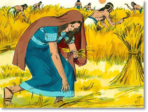 Ruth the Gleaner