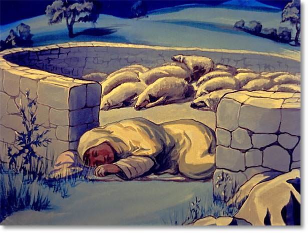 At night he would lead all the sheep into the sheepfold