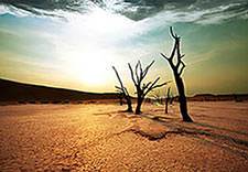 There had been no rain for so long that the ground was baked hard.