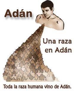 Toda la raza humana vino de Adán