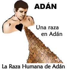 Adán nació toda la raza humana