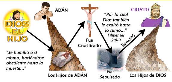 Adán es el principio de la familia pecaminosa que él produjo, y Jesucristo es el principio de la nueva familia llamada los hijos de Dios.