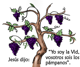 Jesús dijo: “Yo soy la Vid, vosotros sois los pámpanos”.