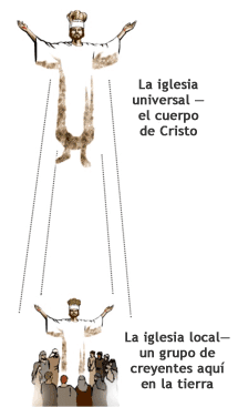 La iglesia universal &#151; el cuerpo de Cristo