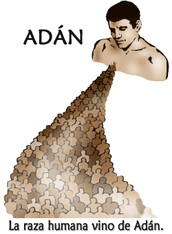 La raza humana vino de Adán.