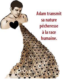 Adam transmit sa nature pécheresse à la race humaine
