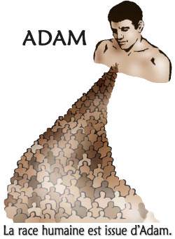 La race humaine est issue d’Adam