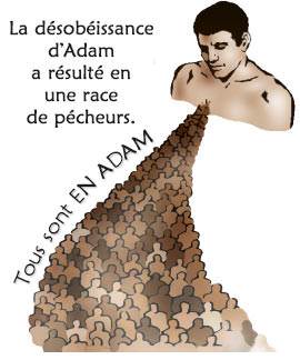 La désobéissance d’Adam a résulté en une race de pécheurs.