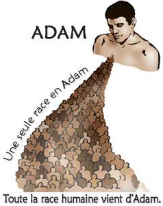Toute la race humaine vient d’Adam