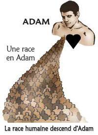 La race humaine descend d’Adam