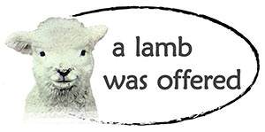 a lamb was offered