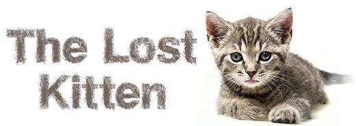 The Lost Kitten