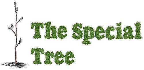 The Special Tree