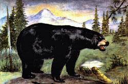 I heard someone say they saw a bear the night before by the big dam