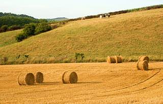 I was cutting alfalfa hay with a tractor and mower