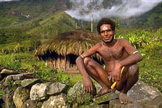 PNG man and hut; photo copyright © 2003 Karl Lehmann; see this website: http://www.lostworldarts.com/new_guinea/new_guinea_2.htm