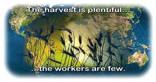 the harvest is plentiful but the workers are few
